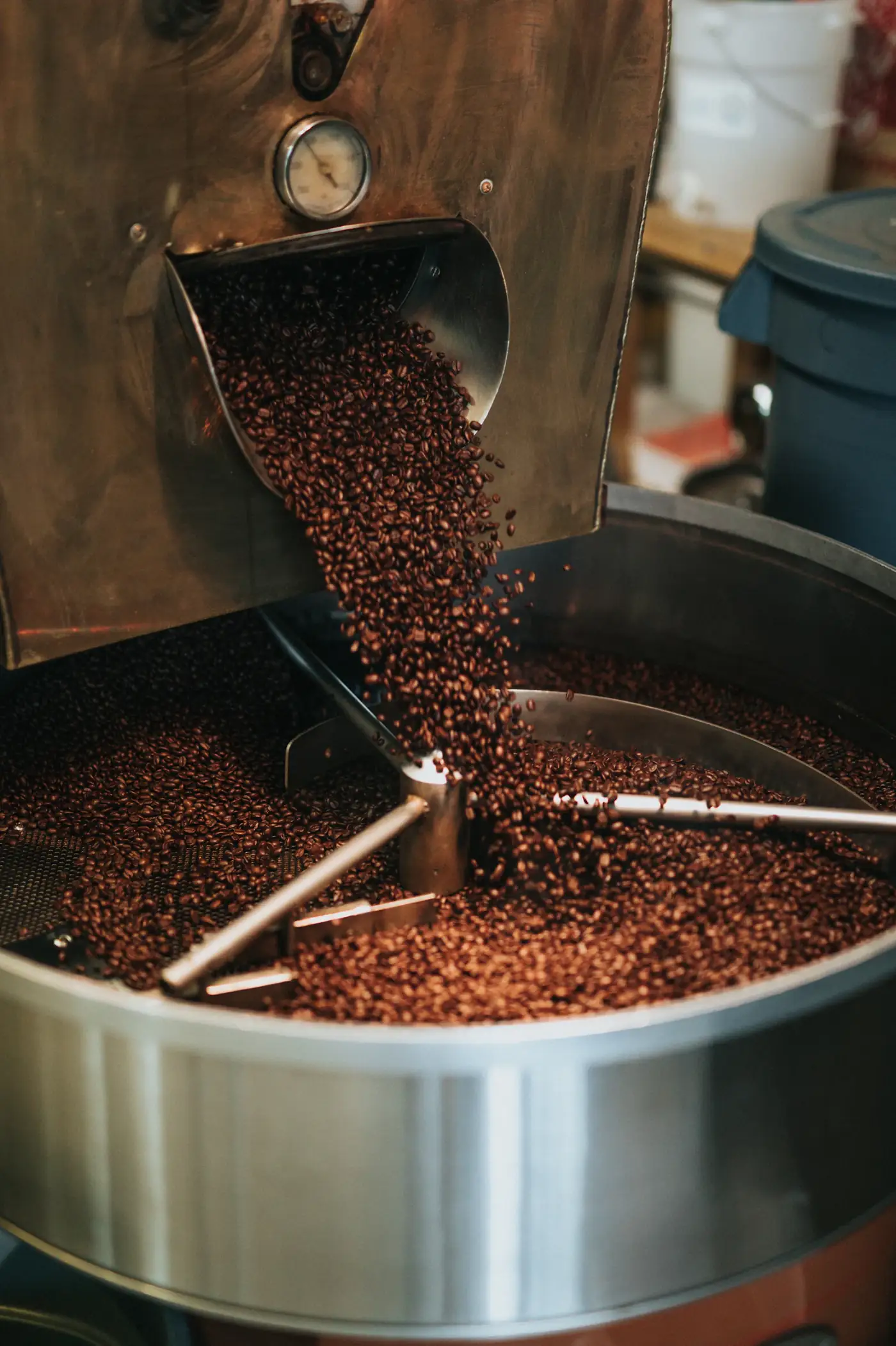 Beans turning in a steel cooling drum