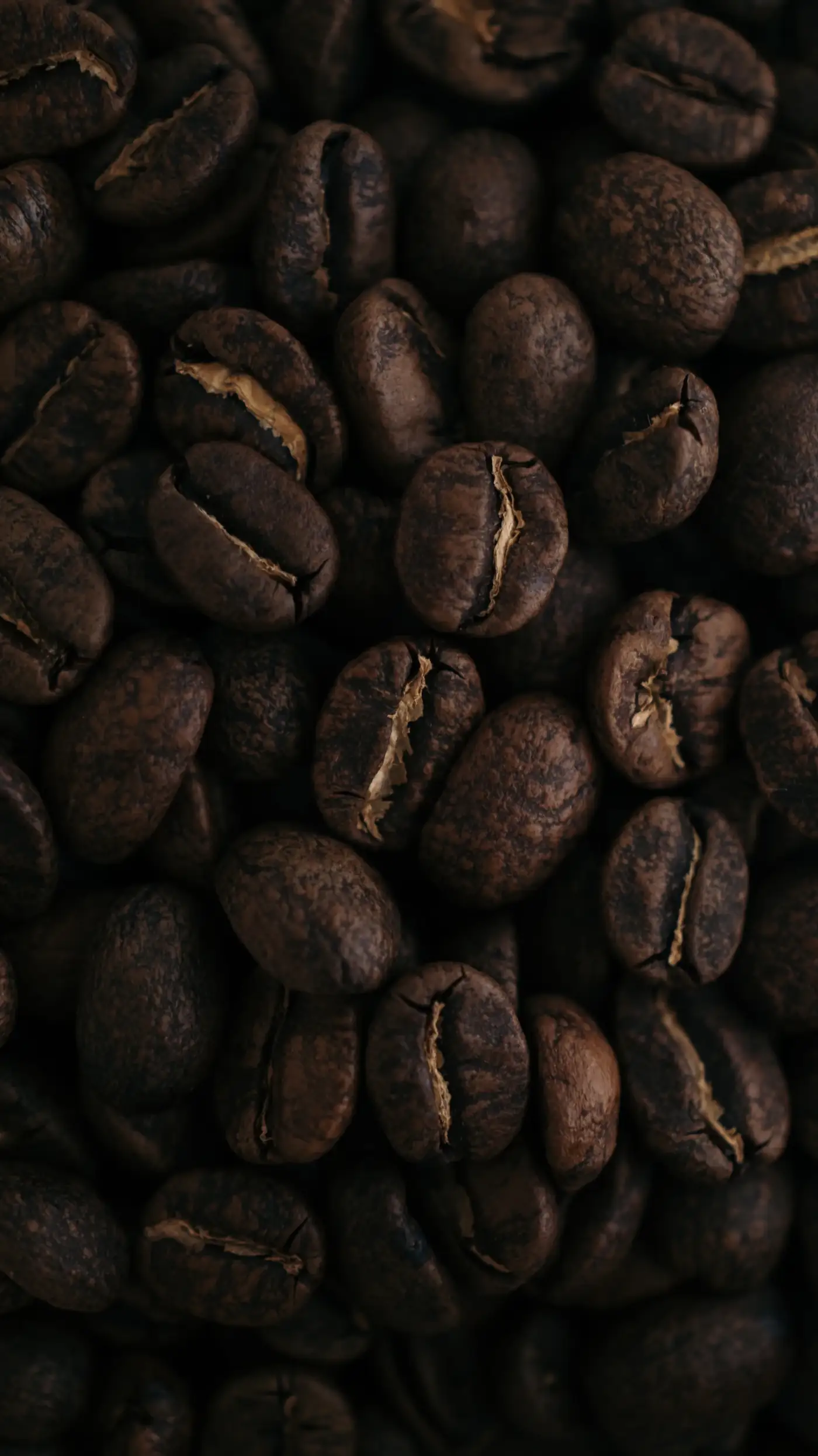 Close up of roasted coffee beans