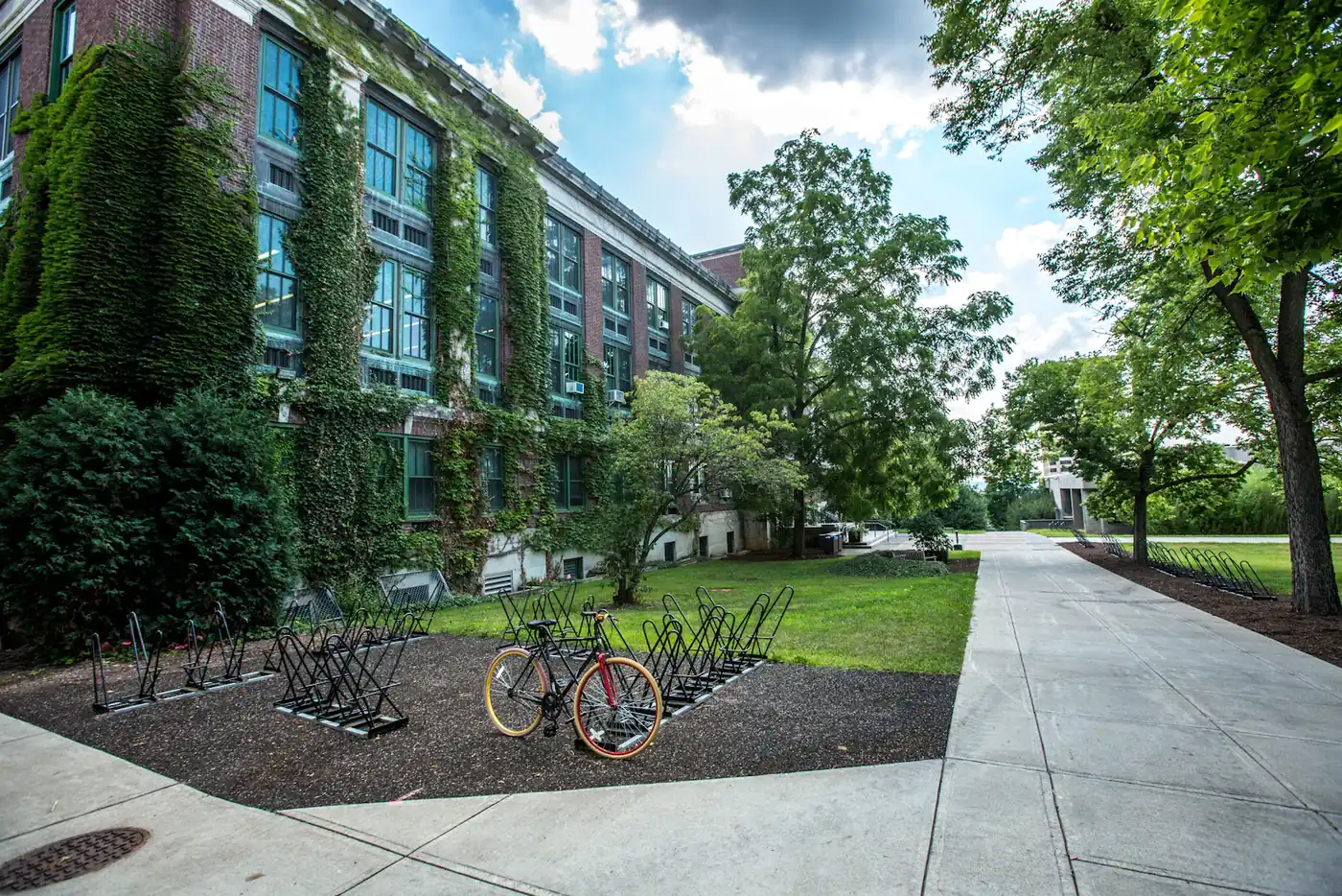 Ivy covered building with bicycles parked by a path