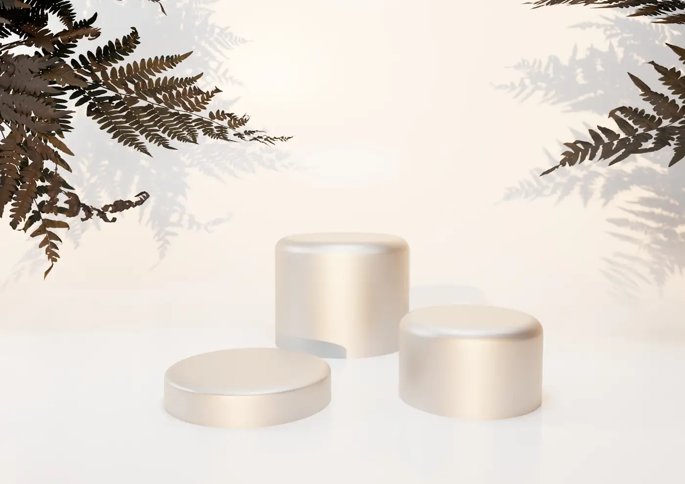 Two pale jar lids beside fern leaves