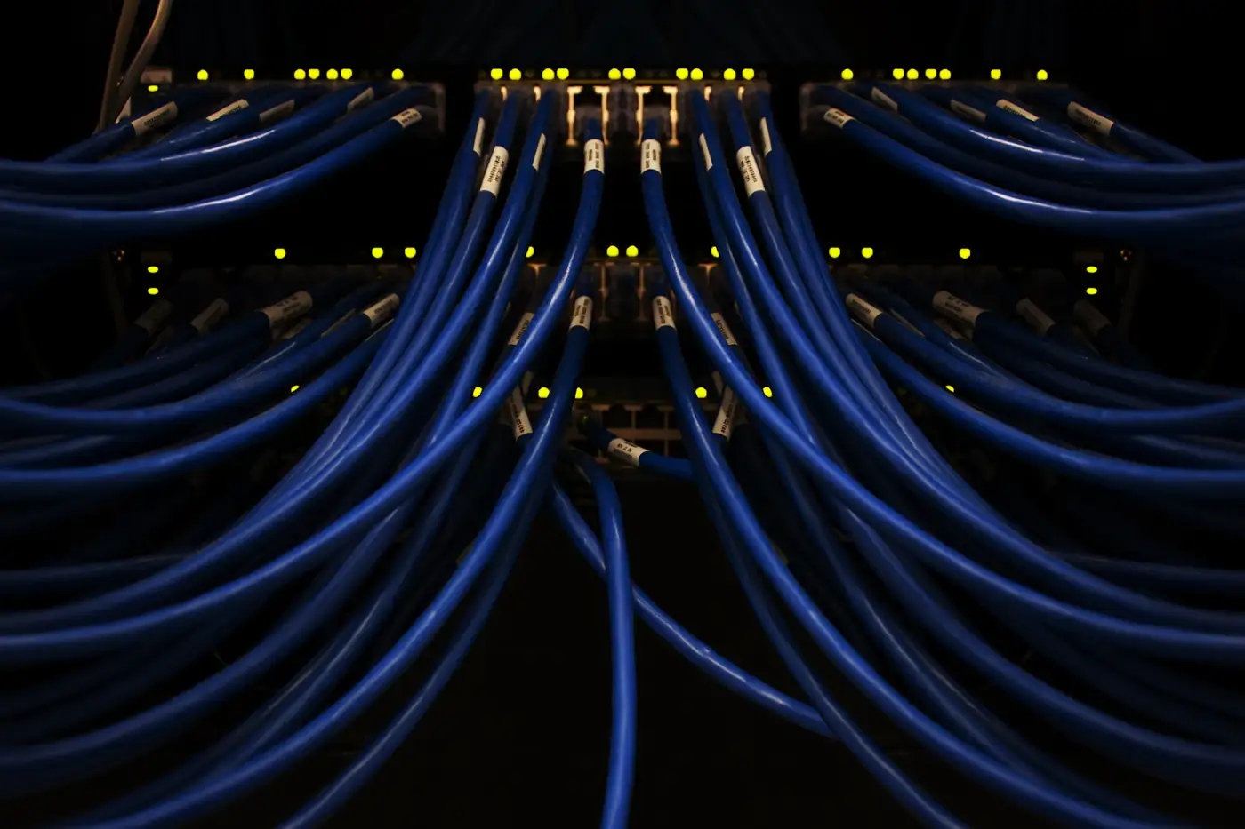 Blue network cables in a server rack