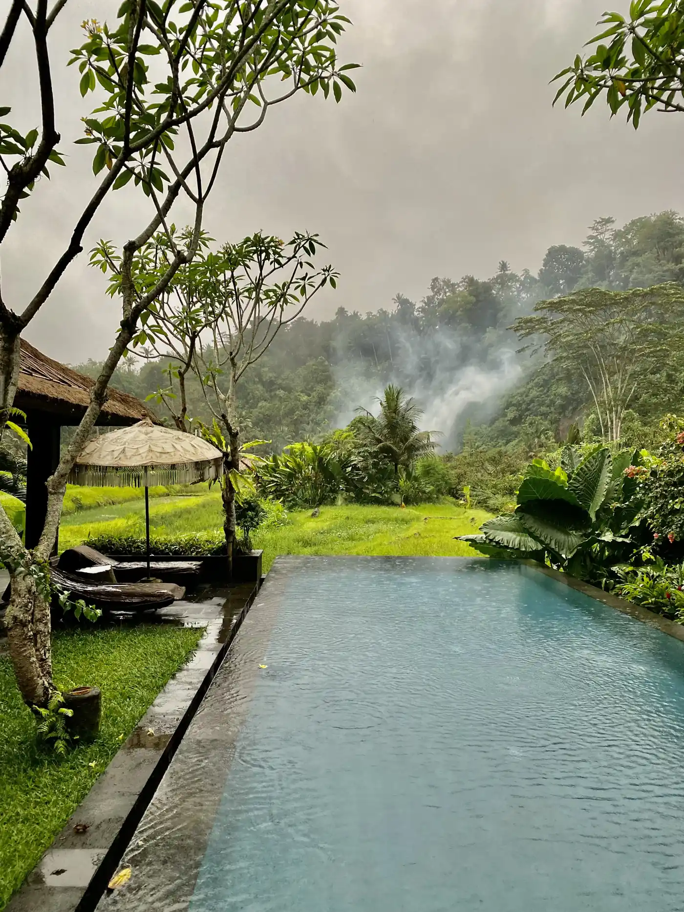 Jungle pool with mist rising over the hills