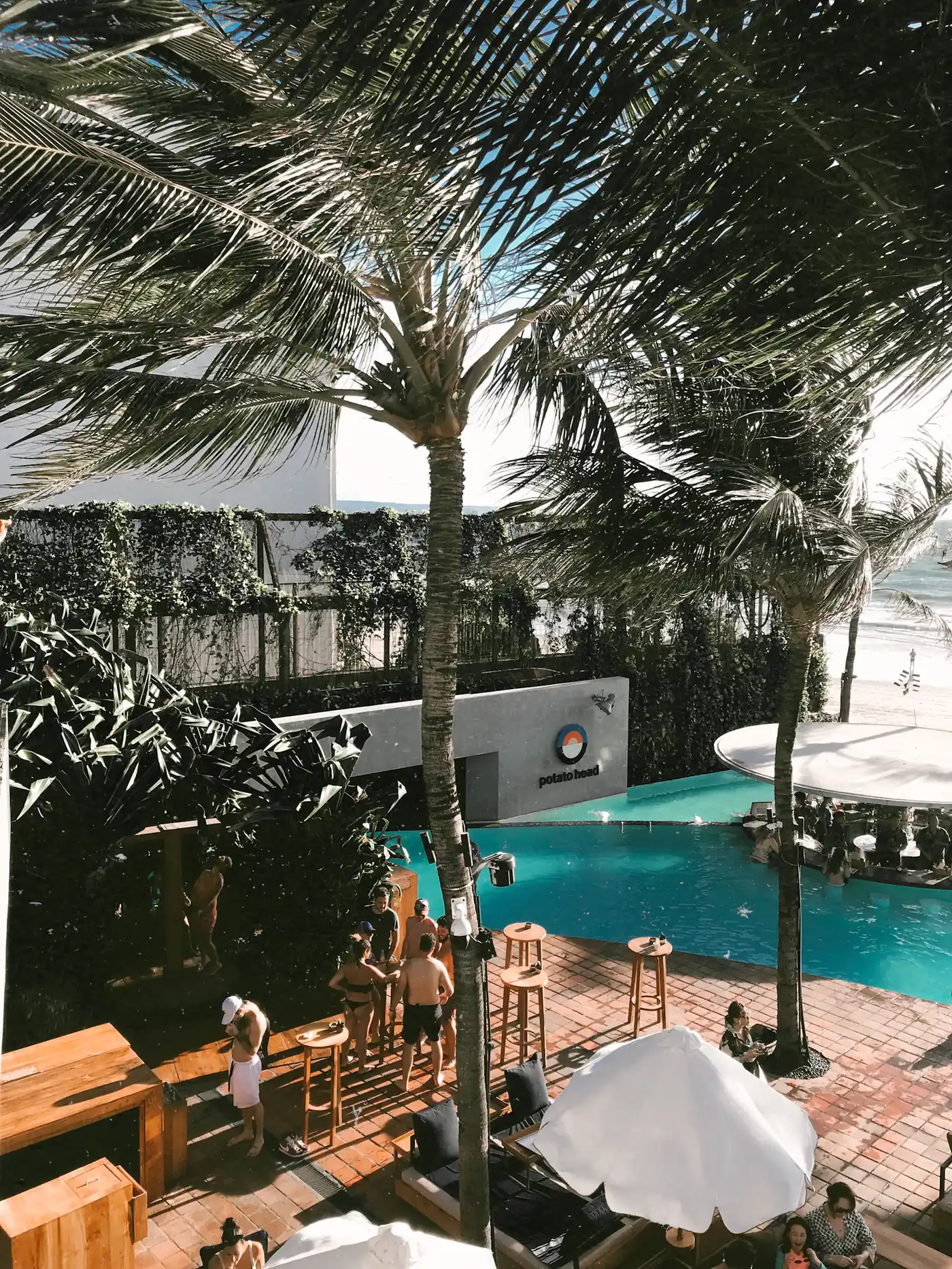 Pool club with palms and loungers on a sunny day