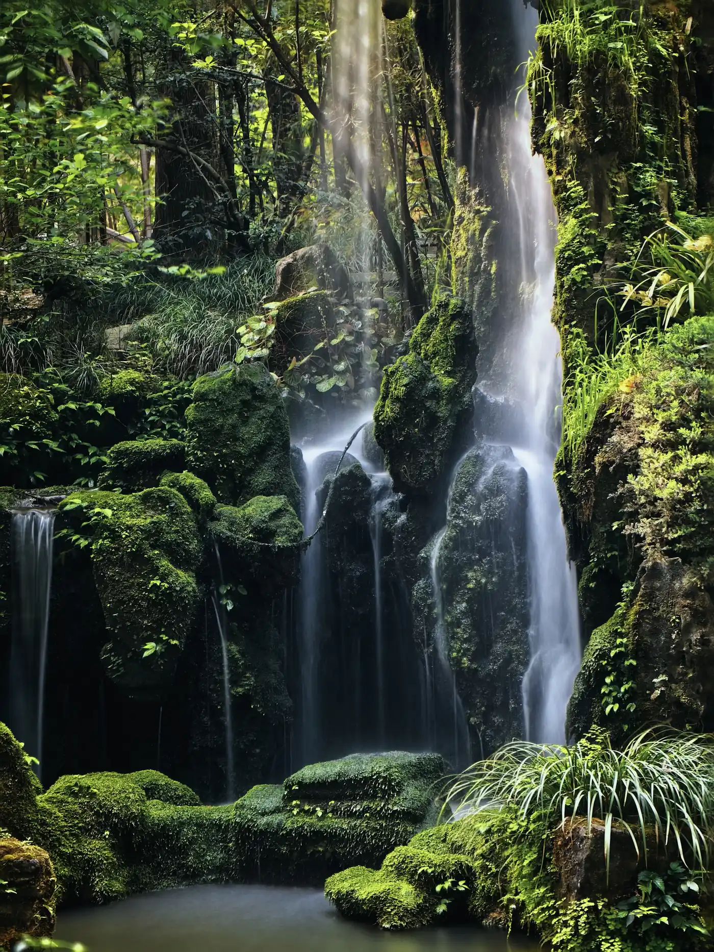 A tall waterfall falling over mossy jungle cliffs